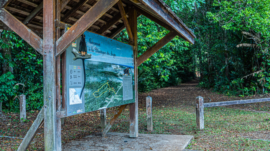 LA MONTAGNE DES SINGES